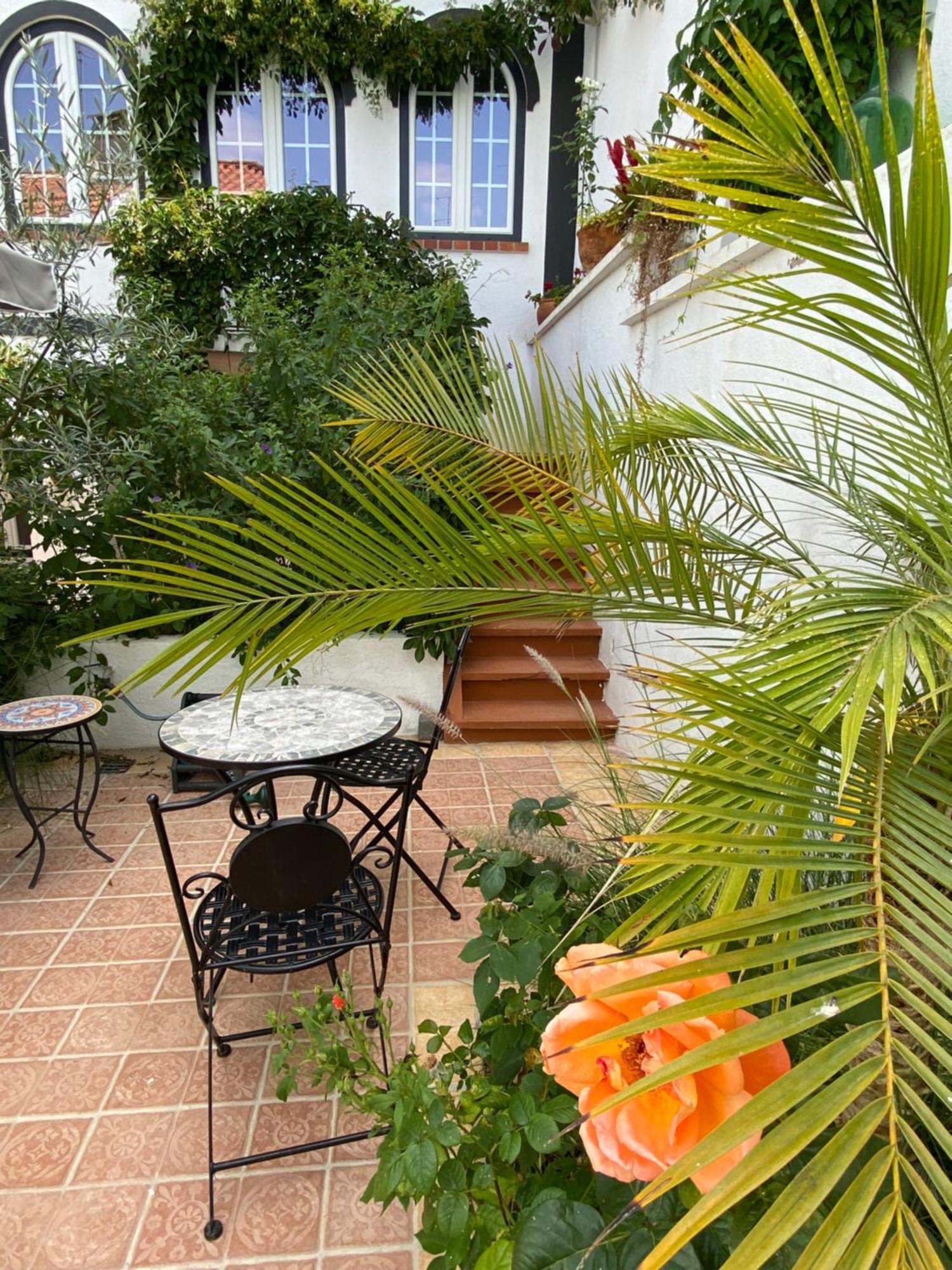 Patio Da Villa - Coruche Boutique Guest House Zewnętrze zdjęcie